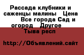 Рассада клубники и саженцы малины › Цена ­ 10 - Все города Сад и огород » Другое   . Тыва респ.